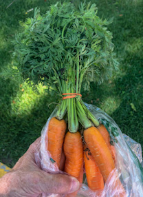 Brooks Saddle Bolt, Organic Carrots and CM Russell!